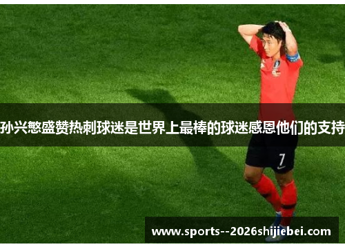 孙兴慜盛赞热刺球迷是世界上最棒的球迷感恩他们的支持 孙兴慜盛赞热刺球迷是世界上最棒的球迷感恩他们的支持